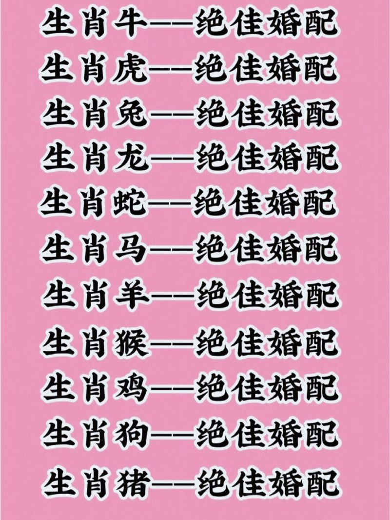 现代婚恋新风尚:介绍平台如何助力单身人士找到真爱